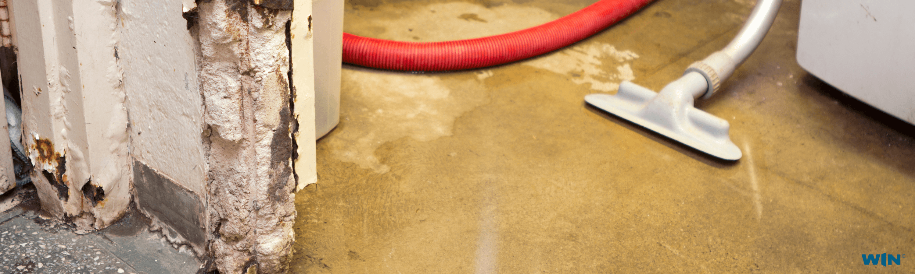 Signs of Structural Damage Every Homeowner Should Watch For